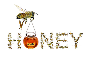 Bee-honey