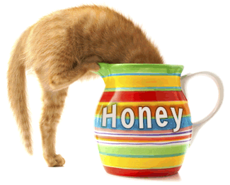 Manuka Honey for PETS